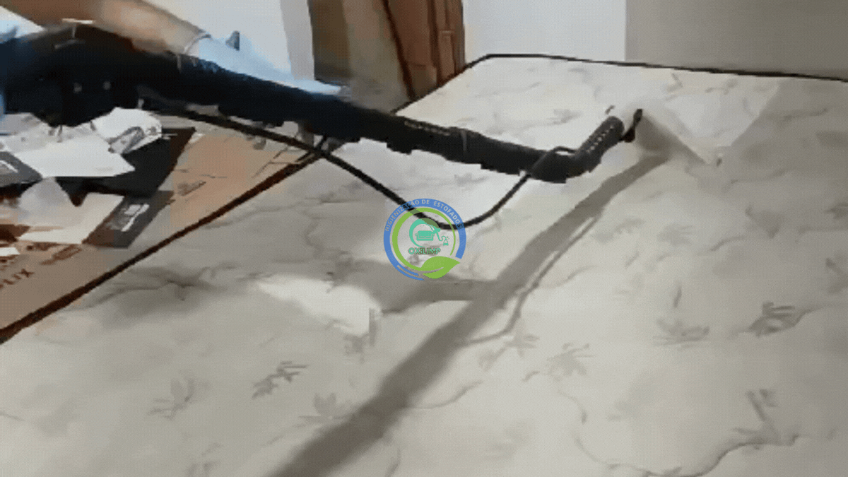 Limpeza Profunda